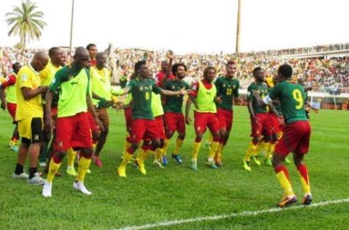 Article : Football camerounais en 2013: Entre déception et sursaut