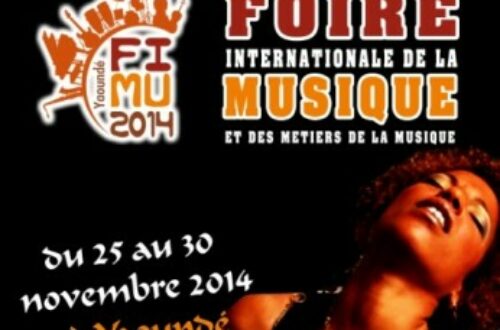 Article : FIMU 2014: promouvoir et revaloriser l’art musical en Afrique